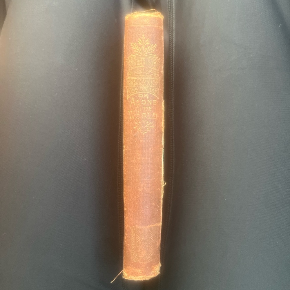 Antique 1871 Alone in the World-American Sunday School Union Rare Vintage book